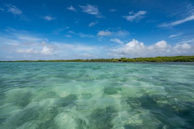 Karayipler 'in Bonaire Adası' nın manzarası