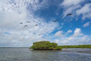Karayipler 'in Bonaire Adası' nın manzarası