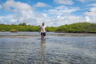 Karayipler 'in Bonaire Adası' nın manzarası