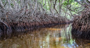 Karayipler 'in Bonaire Adası' nın manzarası