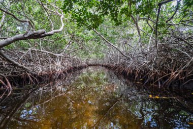 Karayipler 'in Bonaire Adası' nın manzarası