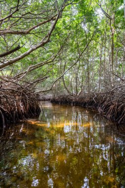 Karayipler 'in Bonaire Adası' nın manzarası