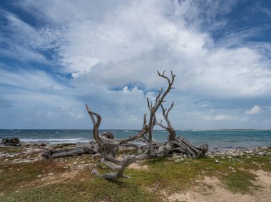 Karayipler 'in Bonaire Adası' nın manzarası