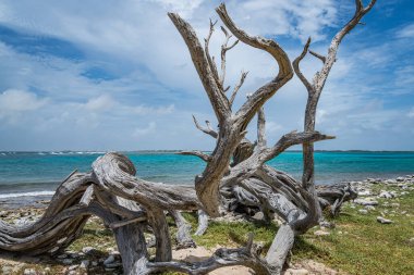 Karayipler 'in Bonaire Adası' nın manzarası