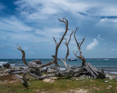 Karayipler 'in Bonaire Adası' nın manzarası