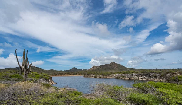 Θέα Γύρω Από Νησί Της Καραϊβικής Bonaire — Φωτογραφία Αρχείου