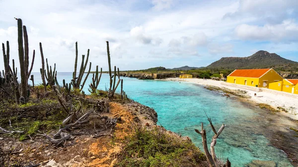 Widoki Karaiby Wyspa Bonaire — Zdjęcie stockowe