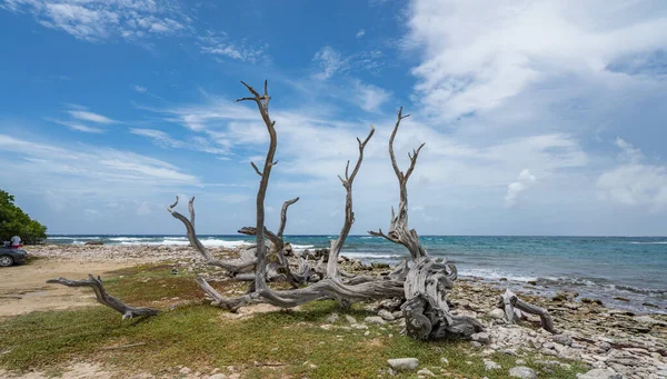 Widoki Karaiby Wyspa Bonaire — Zdjęcie stockowe