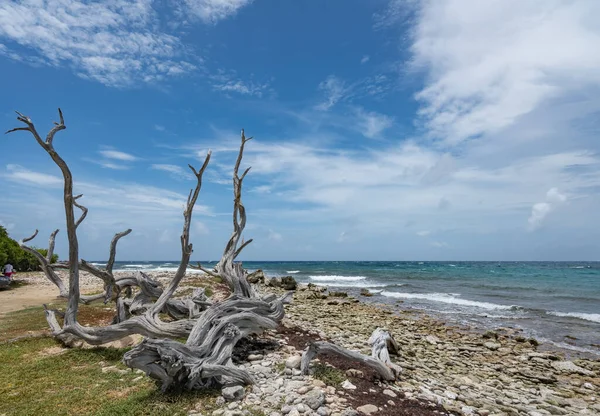 Vistas Isla Caribeña Bonaire —  Fotos de Stock