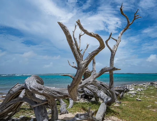 Widoki Karaiby Wyspa Bonaire — Zdjęcie stockowe