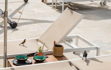 Boş sandalyeler ve sokakta beyaz bir tabak.