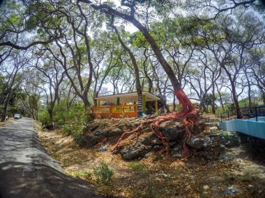 Köyde terk edilmiş eski bir ev.