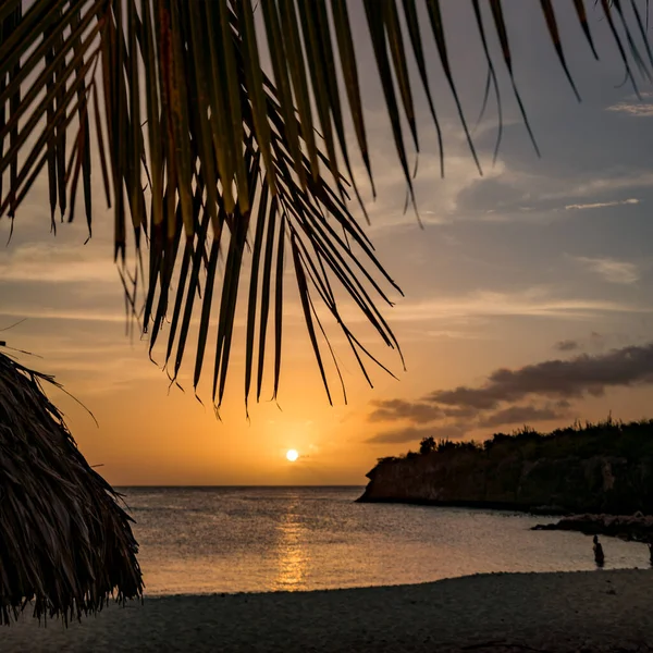 Piękna Tropikalna Plaża Palmami Morzem — Zdjęcie stockowe