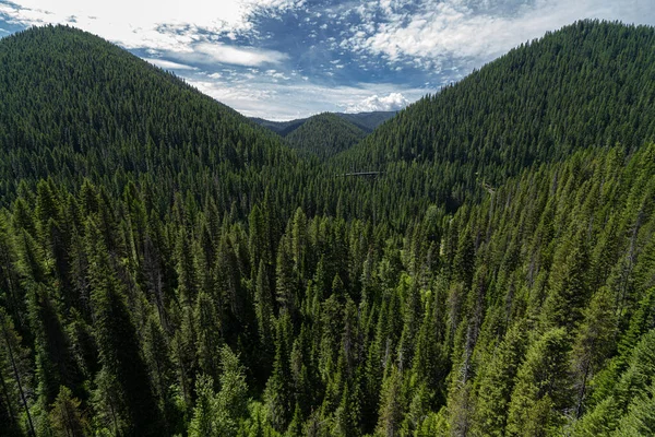 On the Hiawatha Mountain Bike Trail in Idaho