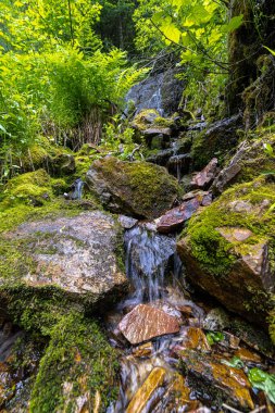 Wallace, Idaho 'daki Pulaski Yolu