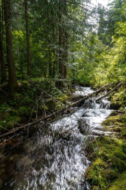 Wallace, Idaho 'daki Pulaski Yolu