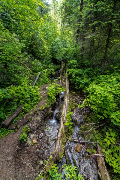 Pulaski Trail Wallace Ban Idaho Államban — Stock Fotó