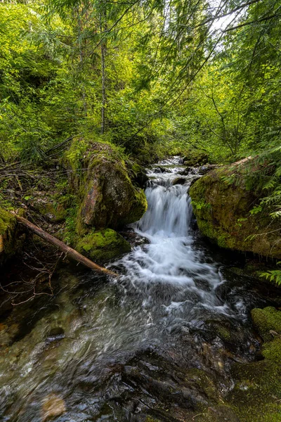 Pulaski Trail Wallace Idaho — Stock fotografie