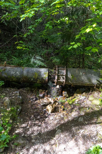 Pulaski Trail Wallace Idaho — Stockfoto