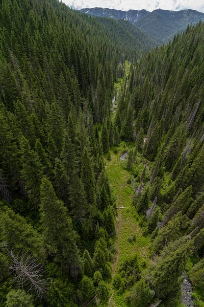 View on the Hiawatha Mountain Bike Trail in Idaho