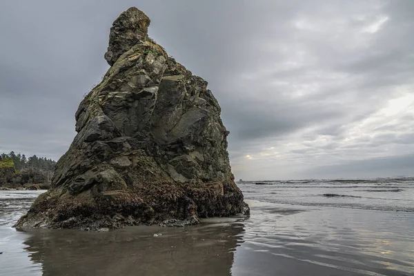 Berggrundning Ruby Beach Olympic National Park — Stockfoto