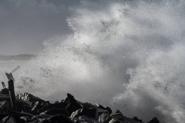 Westport Light Trail boyunca dalgalı sörf, WA