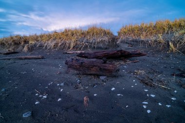 Westport Sahil Koruma Alanındaki sahil, WA