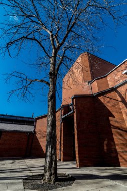 Hançer Salonu, Ağaç ve Ev, Pullman, WA