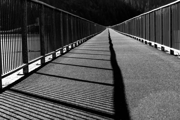 Trail Coeur Alenes Bicycle Bridge Idaho — Stock Photo, Image