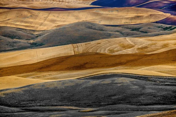 Πεδία Στο Palouse Washington State — Φωτογραφία Αρχείου