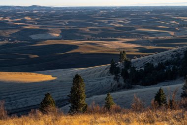 Sonbaharda Soluk Alanlar, WA