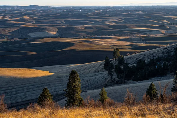 Sonbaharda Soluk Alanlar, WA