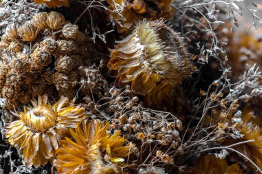 Kurumuş çiçeklerin güz buketi