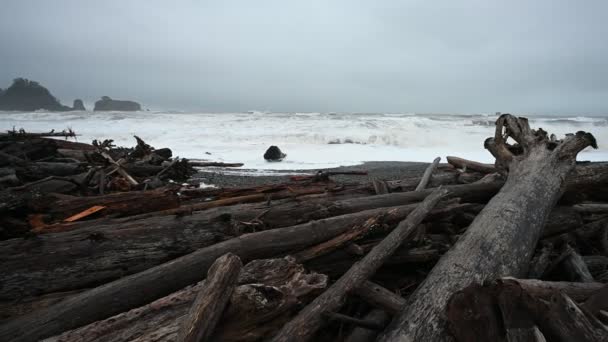 Rialto Beach Egy Szeles Napon Decemberben — Stock videók