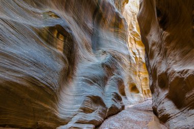 Utah 'taki Willis Creek Kanyonu