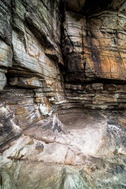 Kuzey Carolina 'daki Pilot Dağı' ndaki Kaya oluşumları