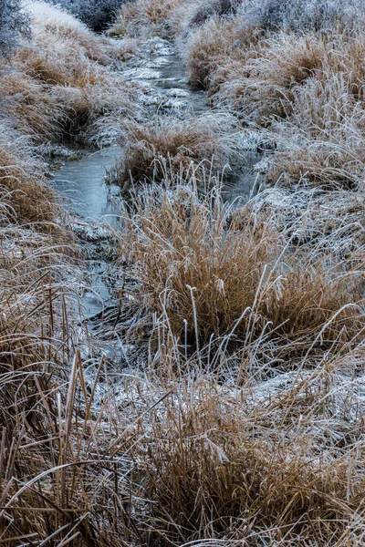 Hluboce Zamrzlý Potok Zimě — Stock fotografie