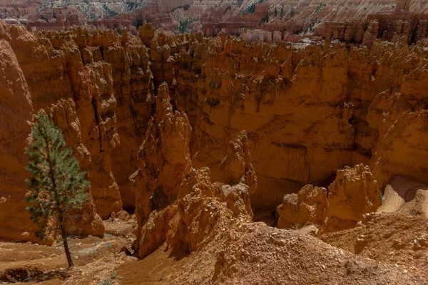 Park Narodowy Bryce Canyon Utah — Zdjęcie stockowe