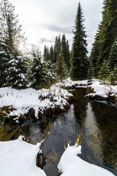 Elk Creek Principios Otoño Idaho — Foto de Stock