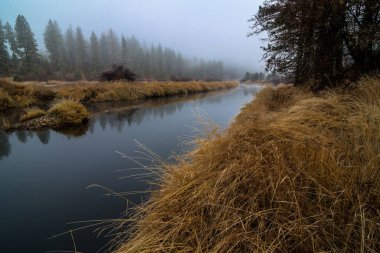 Late Fall, Idaho 'da Küçük Somon Nehri