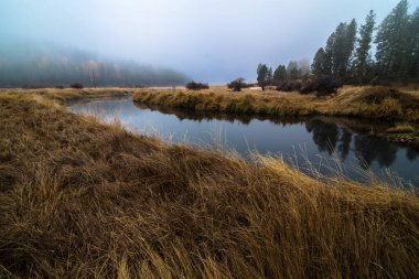 Late Fall, Idaho 'da Küçük Somon Nehri