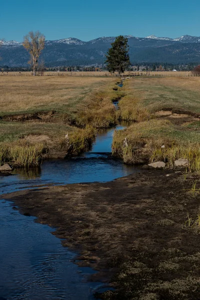 Archabal Plains Cerca Mccall Idaho —  Fotos de Stock