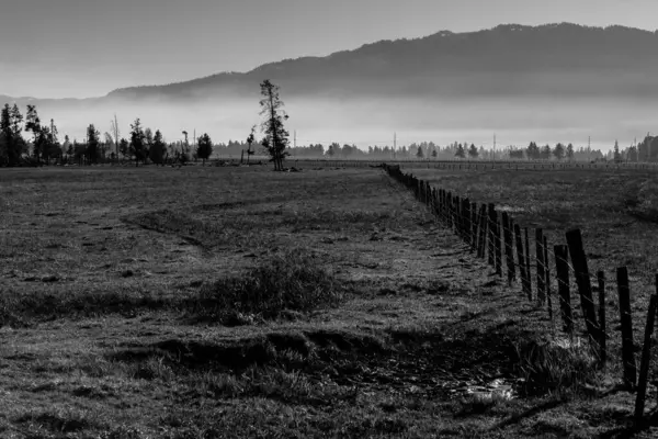 Archabal Plains Der Nähe Von Mccall Idaho — Stockfoto