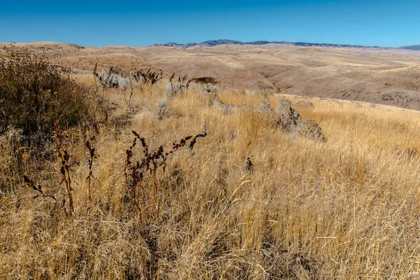 Vista Panoramica Sull Idaho Prairie Autunno — Foto Stock