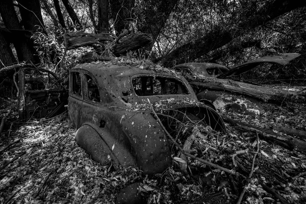 Velhos Carros Meio Enterrado Sob Árvores — Fotografia de Stock