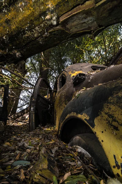 Rusty Car Wreck Sob Árvores — Fotografia de Stock