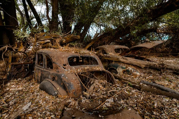 Rusty Car Wrecks Trees — Fotografia de Stock