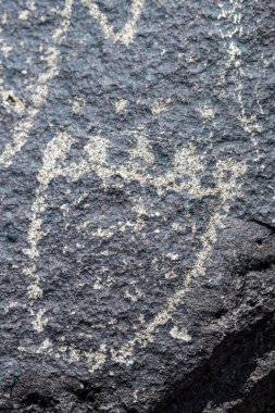 Petroglyph Ulusal Anıtı 'ndaki Petroglyph