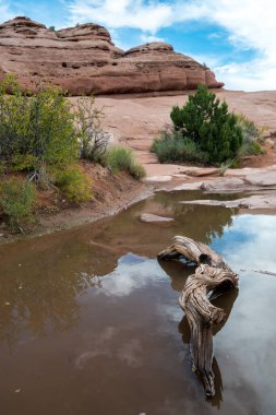 Kaya oluşumları Arches Ulusal Parkı, Utah