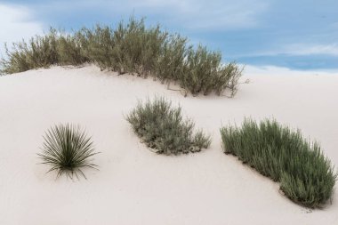 White Sands Ulusal Anıtı, New Mexico
